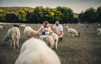 Farma Ovčí terasy