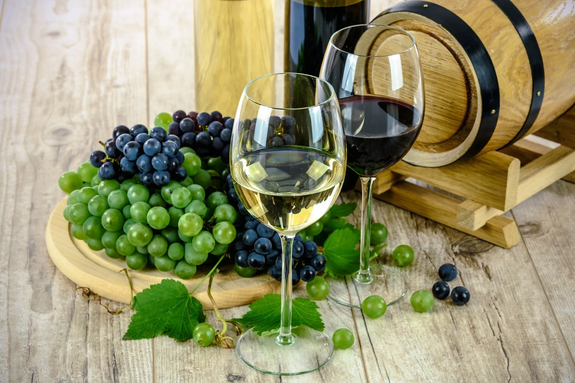 Pochod damborskými vinicemi