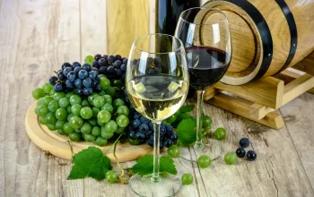 Pochod damborskými vinicemi
