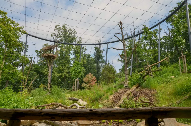 ZOO Brno