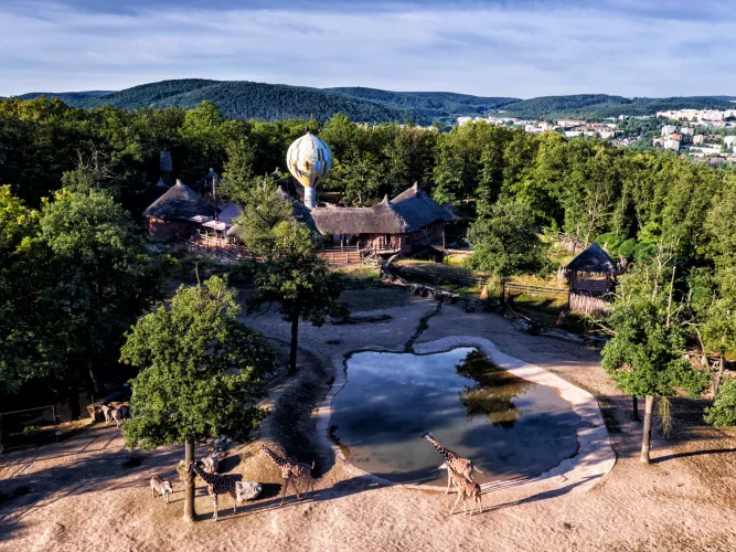 ZOO Brno