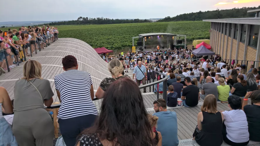 Hudba na vinicích, autor: Hudba na vinicích