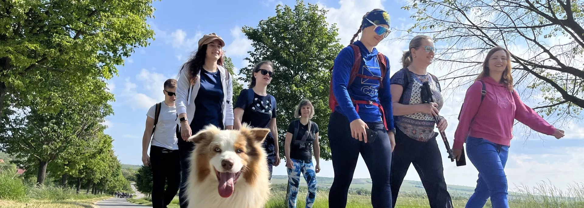 Svatojakubské cesty v Česku | Poutnictví