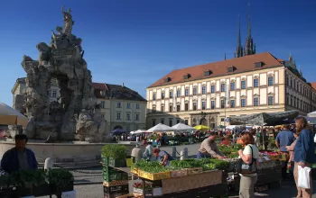 Zelný trh v Brně