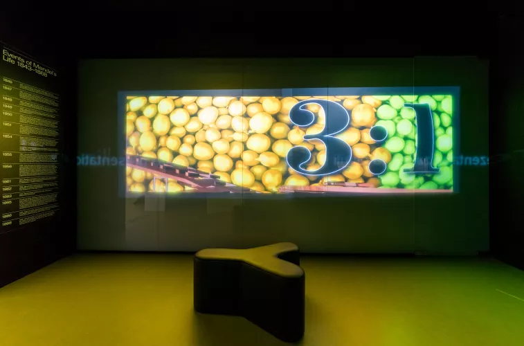 Foto: Mendelovo muzeum