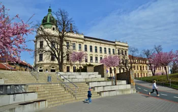 Město Vyškov