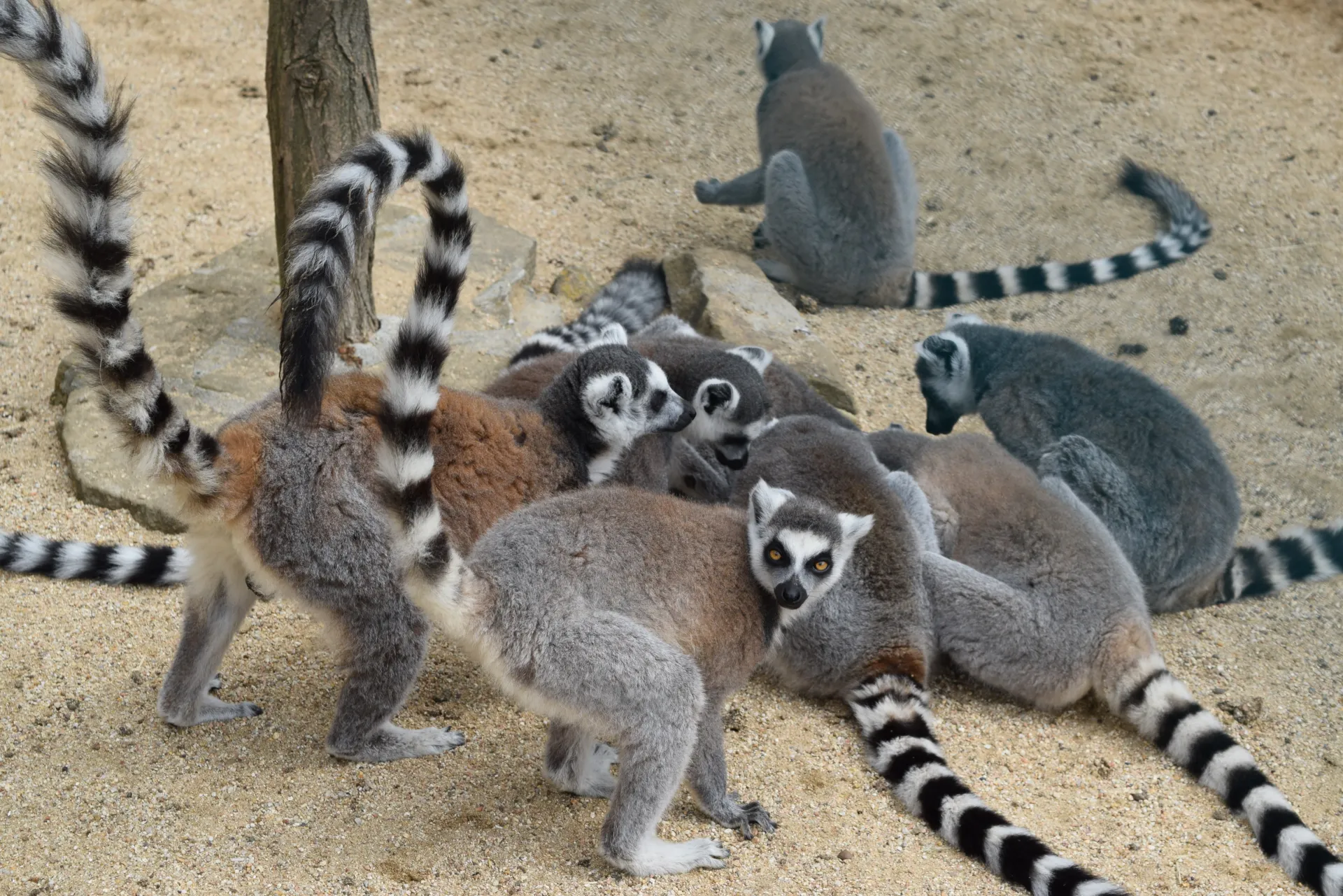 Zoo Park Vyškov 