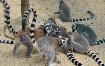 Zoo Park Vyškov 