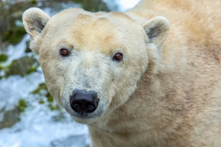 Foto: Zoo Brno