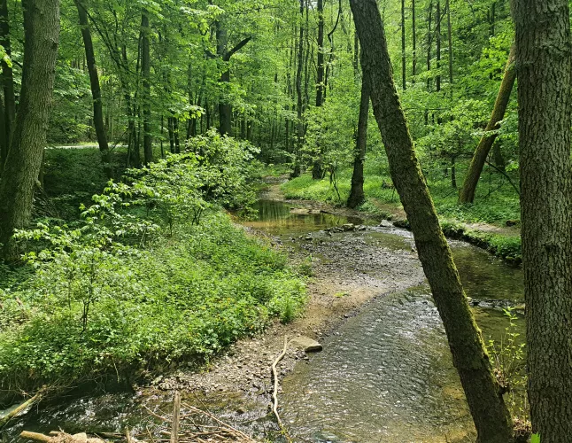 Křtinské údolí