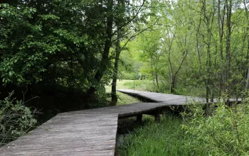 Arboretum ve Křtinách