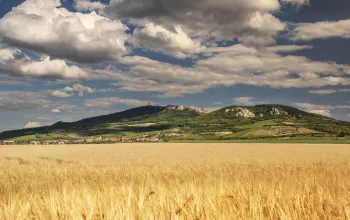 Biosférická rezervace Dolní Morava