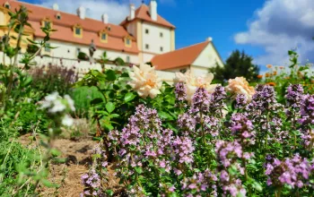 Bylinková zahrada Lu & Tiree Chmelar Valtice