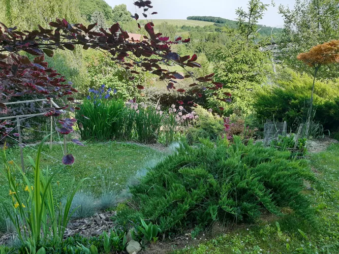 Arboretum, autor: Arboretum Němčičky