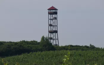 Rozhledna na Přítlucké hoře