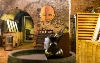 Salon vín, zámek Valtice
