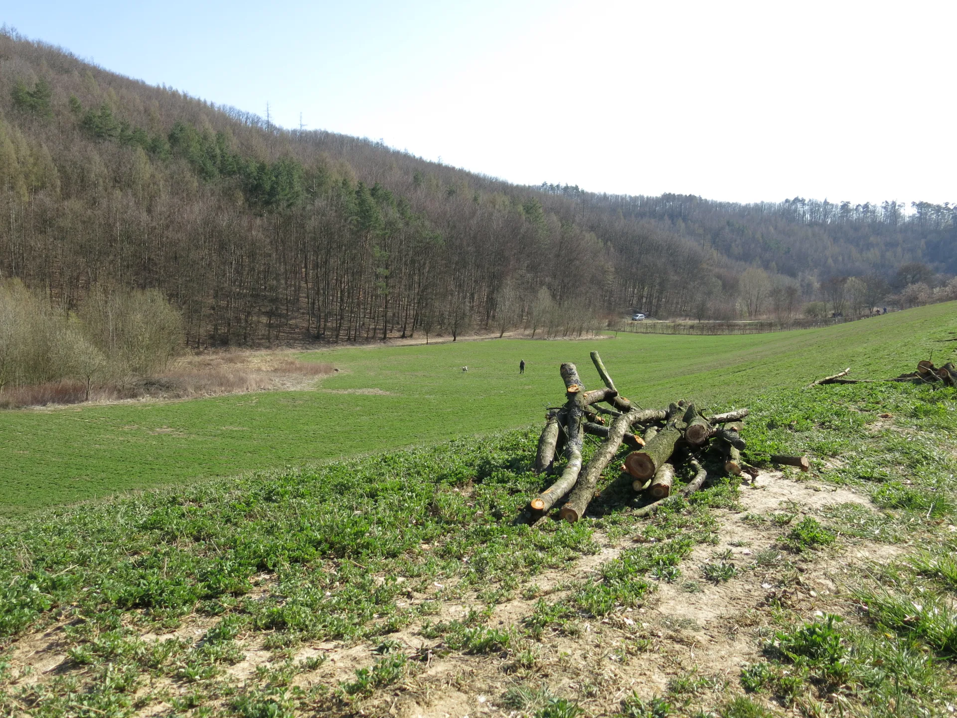 Ždánický les, přírodní park 