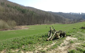 Ždánický les, přírodní park 