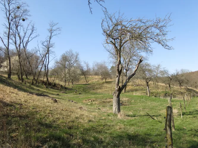 Motýlí ráj ve Ždánicích