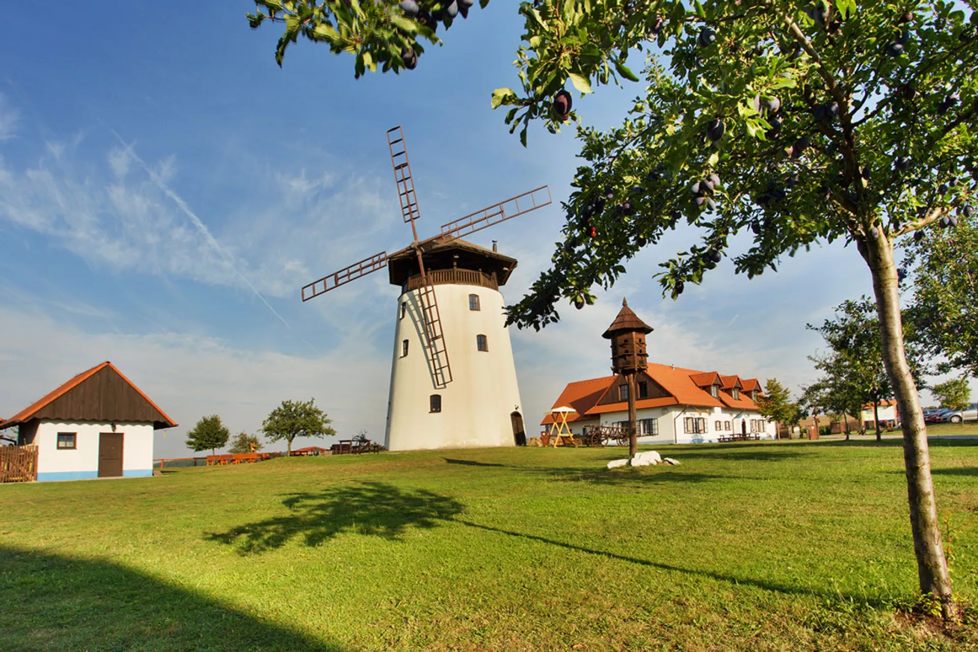 Rozhledna Bukovanský mlýn