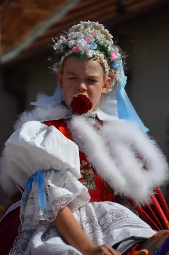 Jízda králů