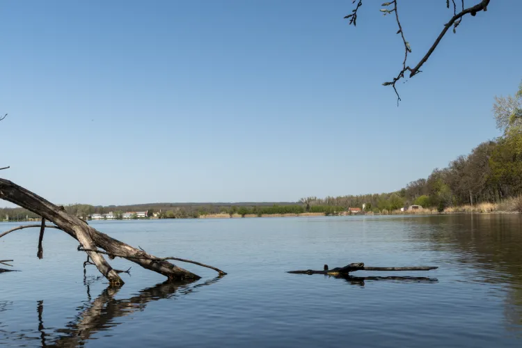 Foto: Jan Prokeš; Písečný rybník