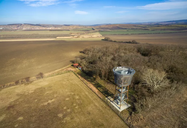Foto: Vojtěch Peša