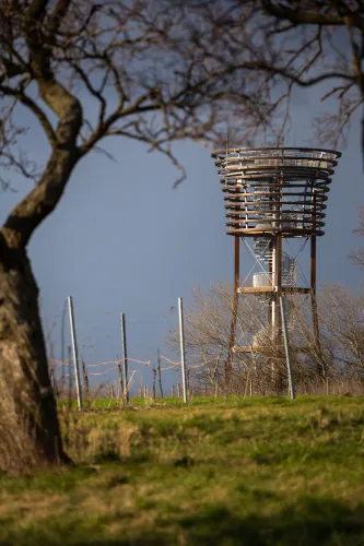 Foto: Vojtěch Peša
