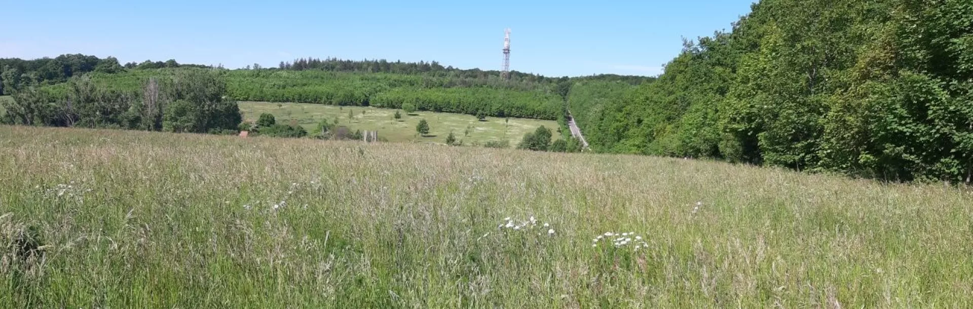 Rozhledna Travičná ve Tvarožné Lhotě