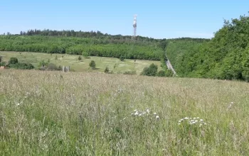 Rozhledna Travičná ve Tvarožné Lhotě