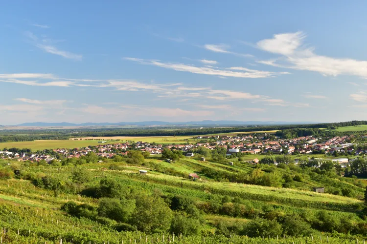 Mutěnice, foto: Jan Prokeš
