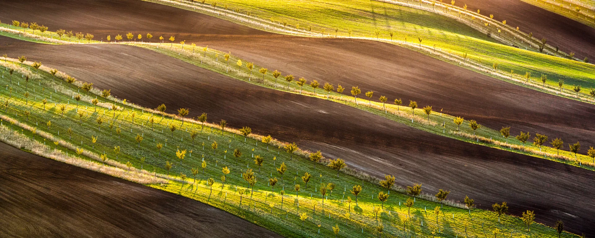 Foto: Marek Topolář, autor: Marek Topolář