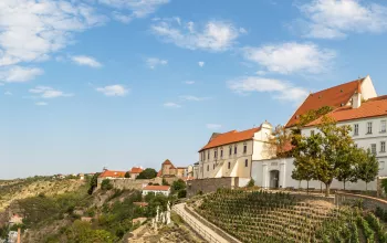 Znojemsko a Podyjí – školní výlet do královského města