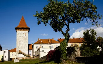 Vlkova věž
