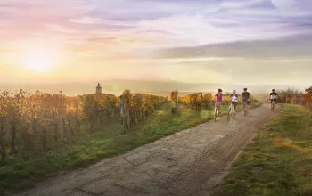 Moravské vinařské stezky