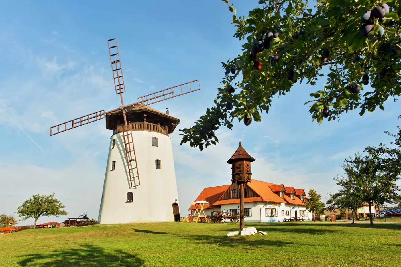 Košt vín bukovanských vinařů