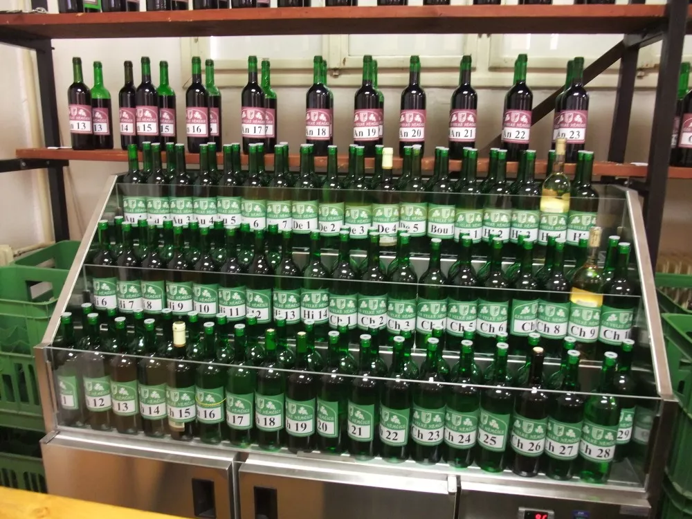 64. výstava vín Velké Němčice