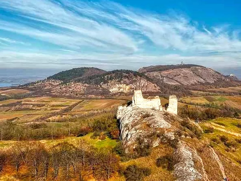 Pálavský vlašák