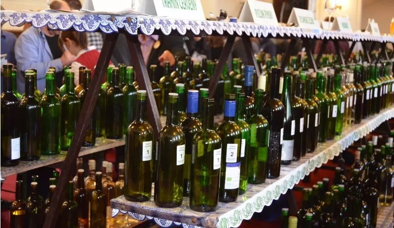 Přehlídka vín Mikulovské vinařské podoblasti