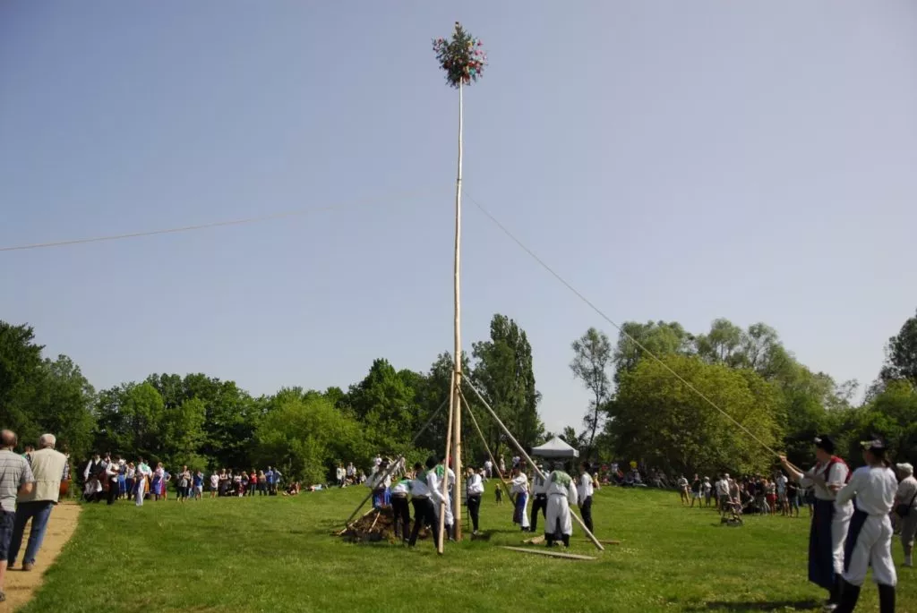 Stavění máje ve skanzenu - zahájení návštěvní sezony