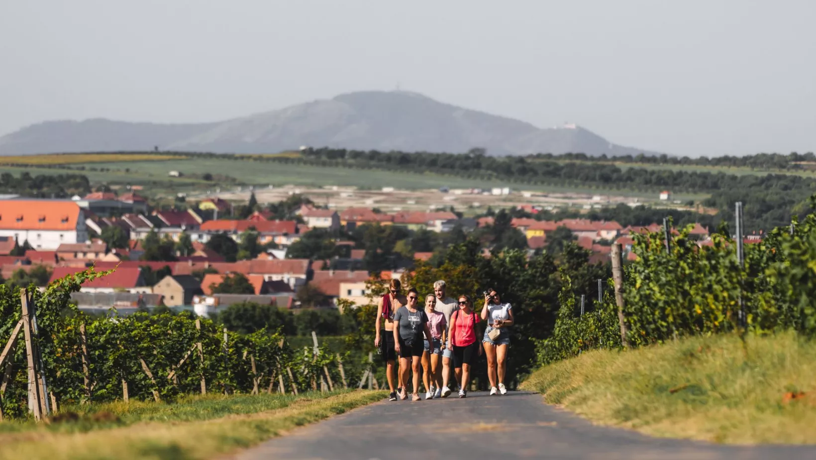 Krajem vína - Putování za burčákem po Modrých horách
