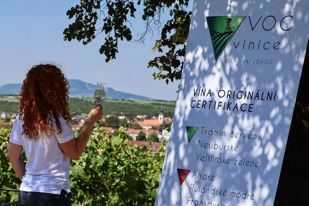 Putování vinicemi za víny VOC