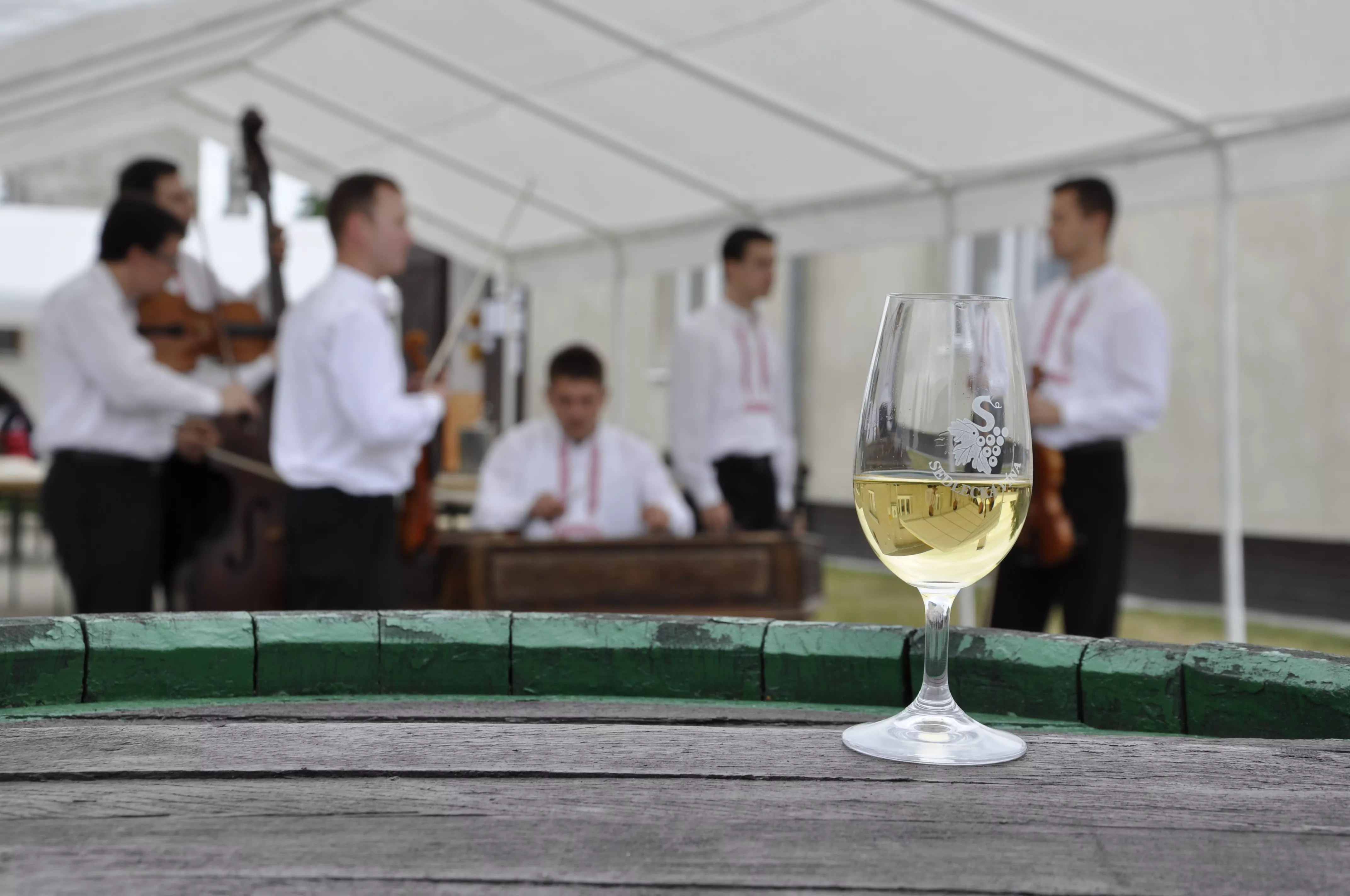 Festival Sedleckých vín