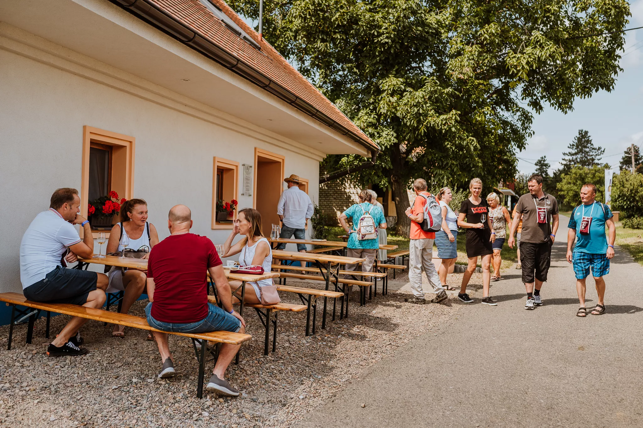 Otevřené sklepy v Mikulčicicích