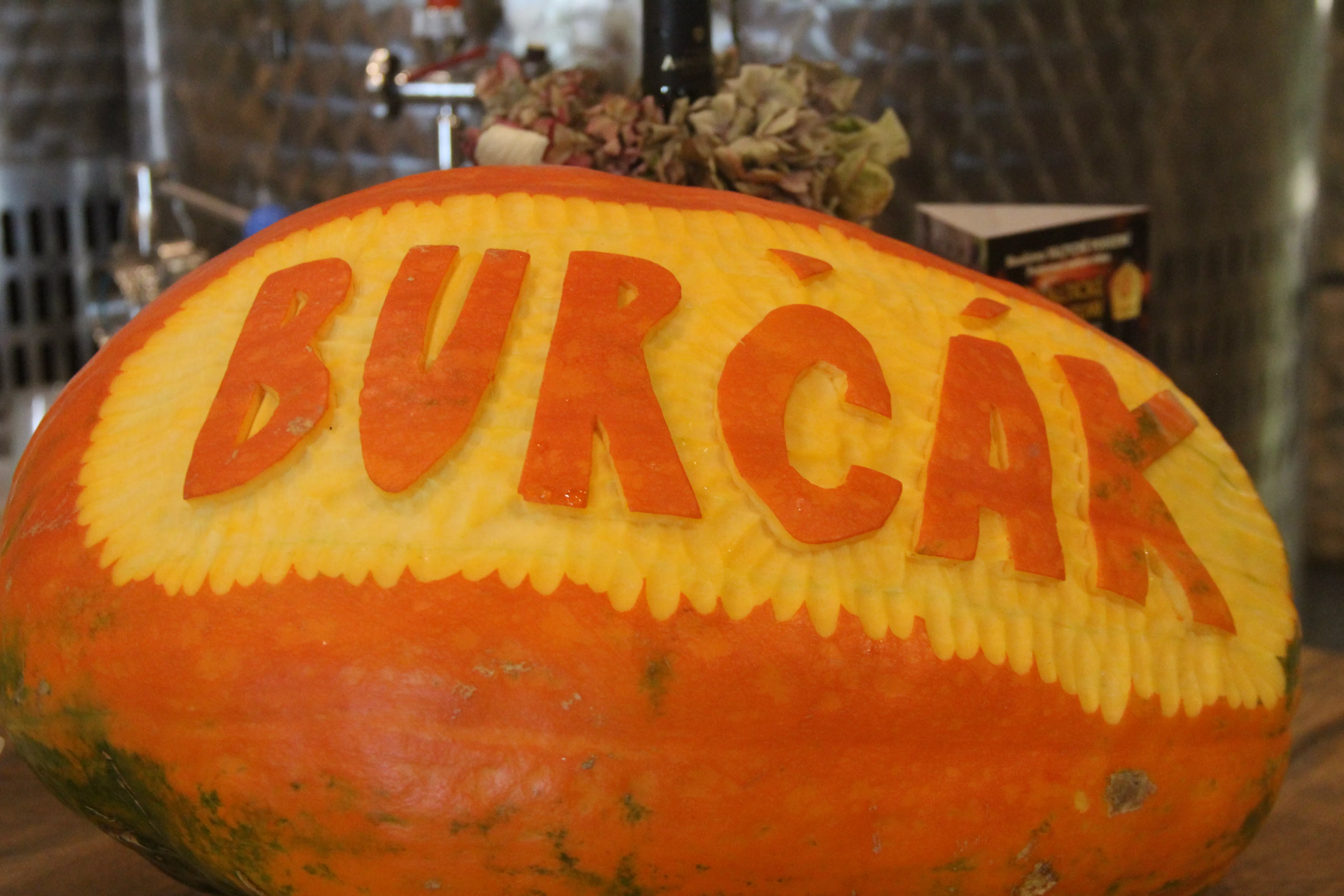 Hudba ve vinařství s burčáky 