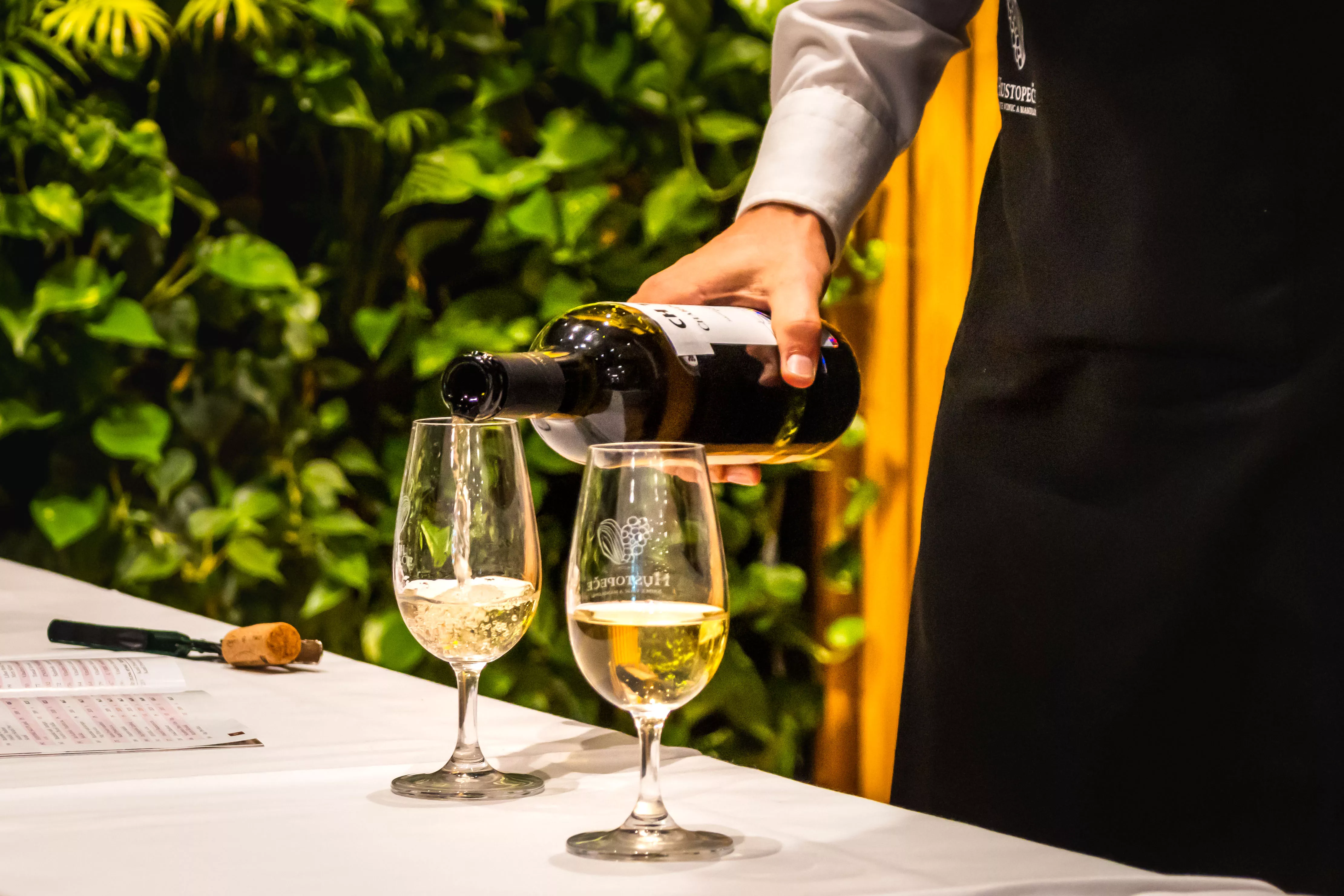 Národní soutěž vín Velkopavlovické vinařské podoblasti