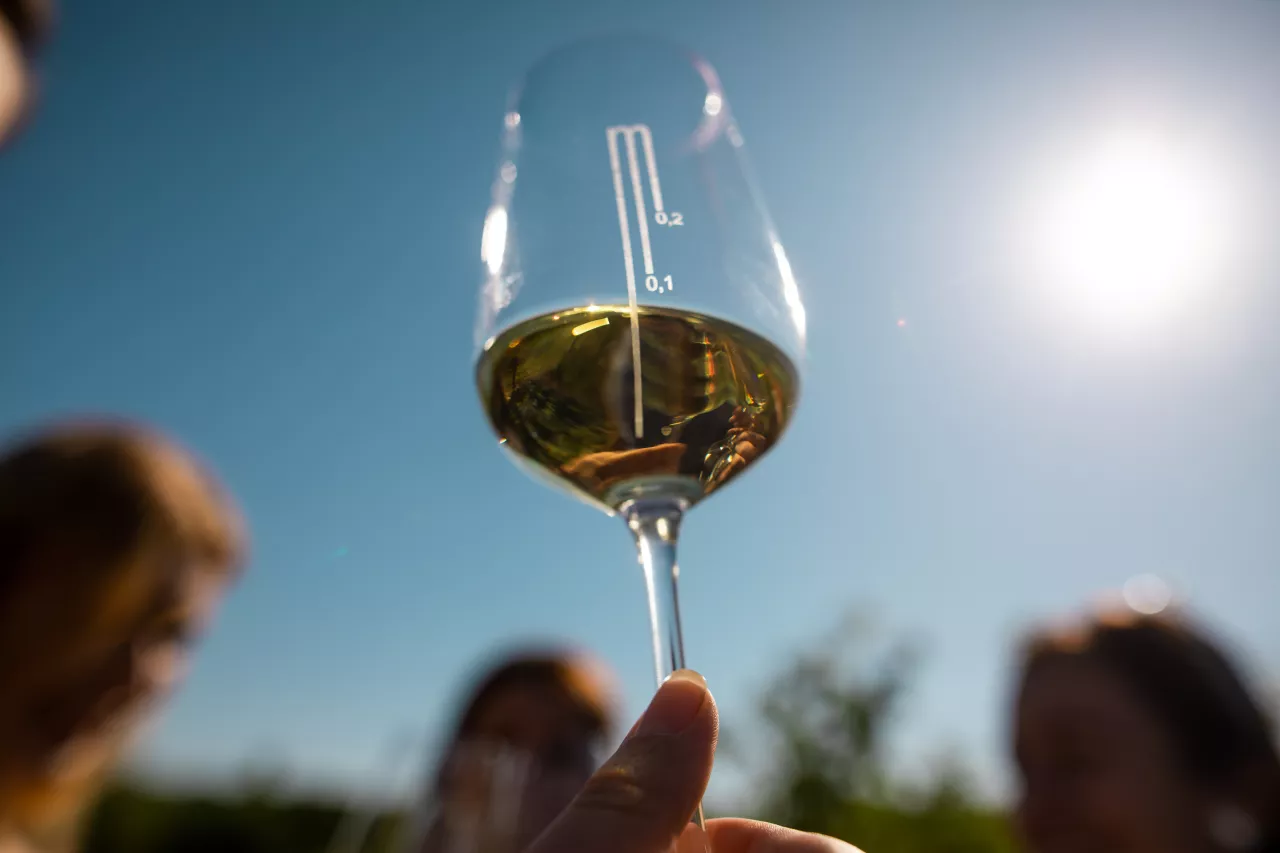 Za vinařem na skleničku