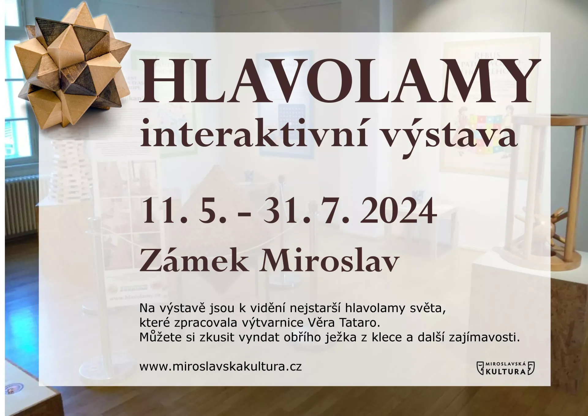 Výstava HLAVOLAMŮ