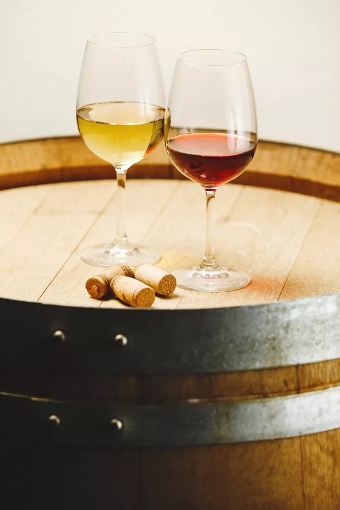 Degustace u cimbálu ve Vinofruktu