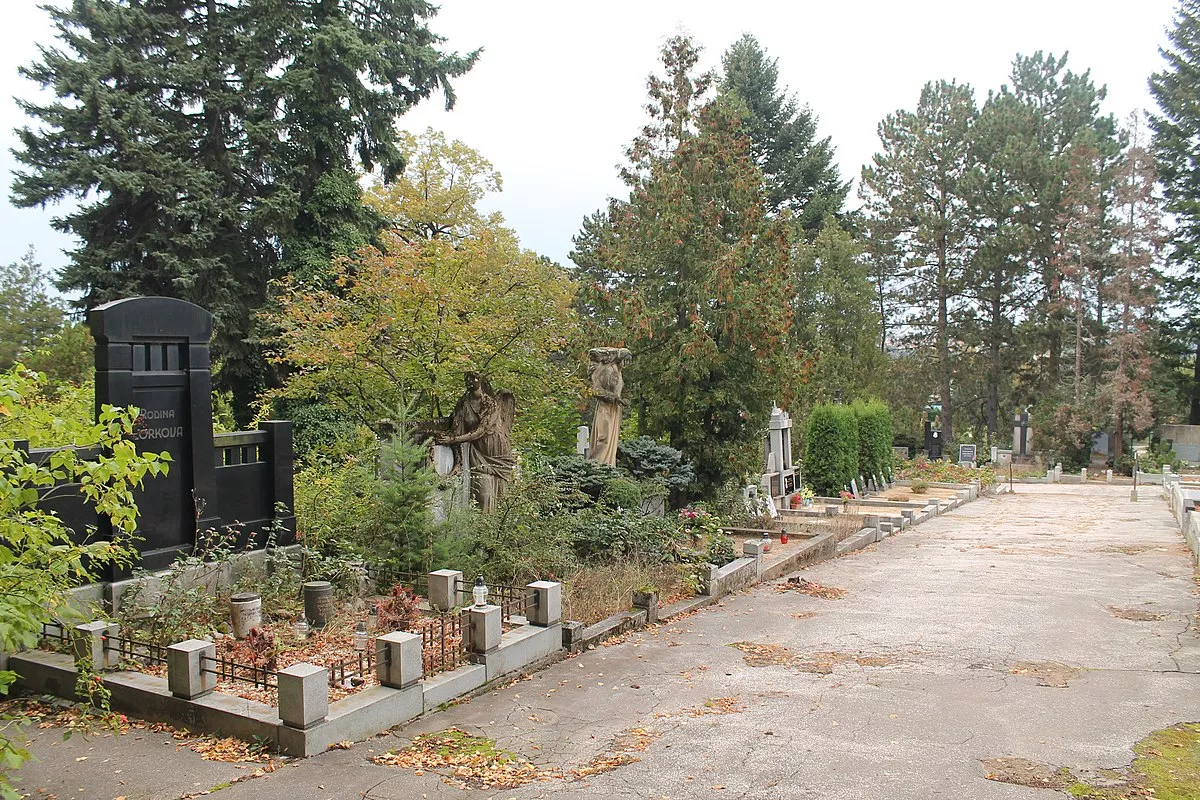 Za stromy na židenický hřbitov